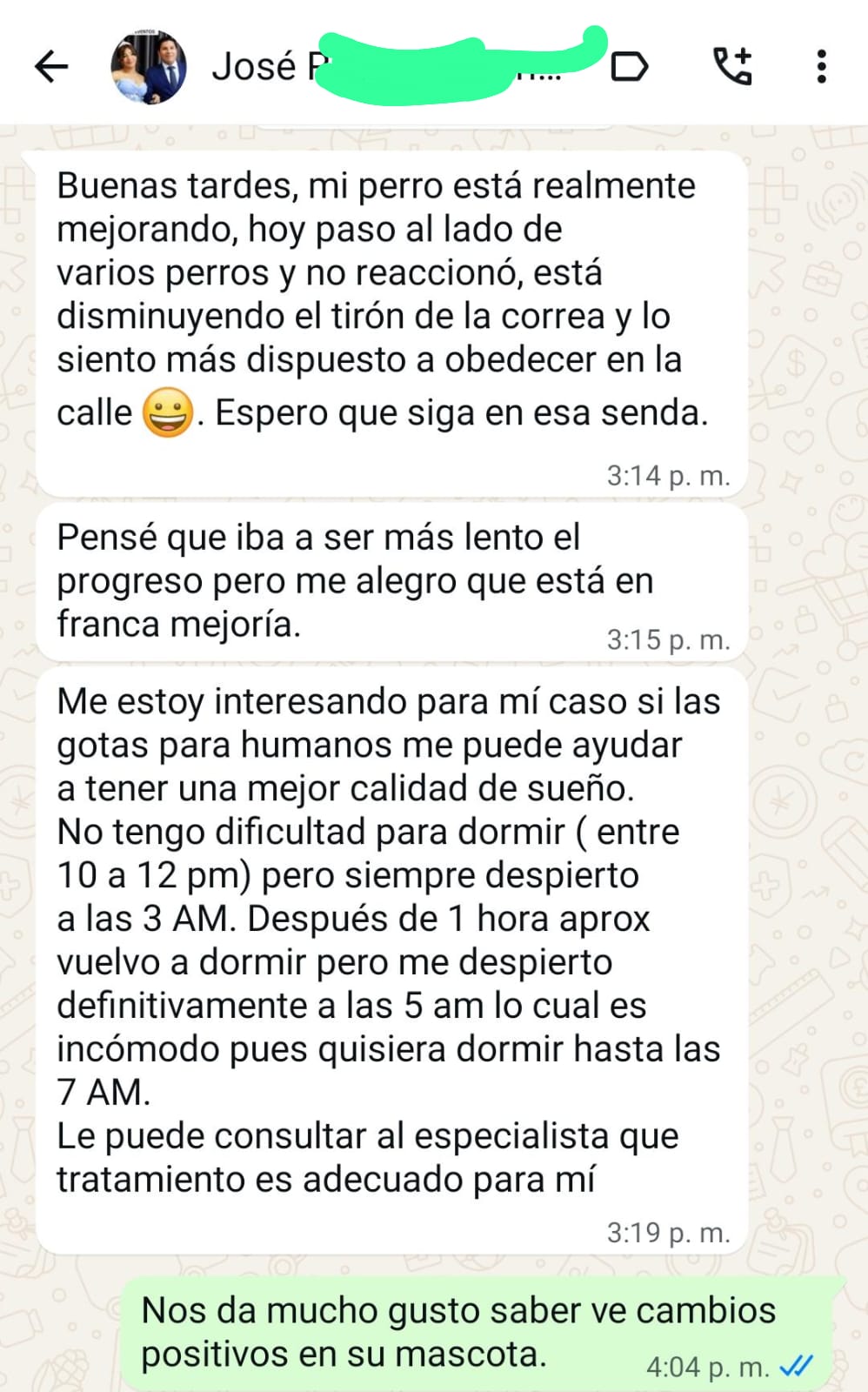 Chat de WhatsApp: perro mejora en paseos y obedece más en la calle