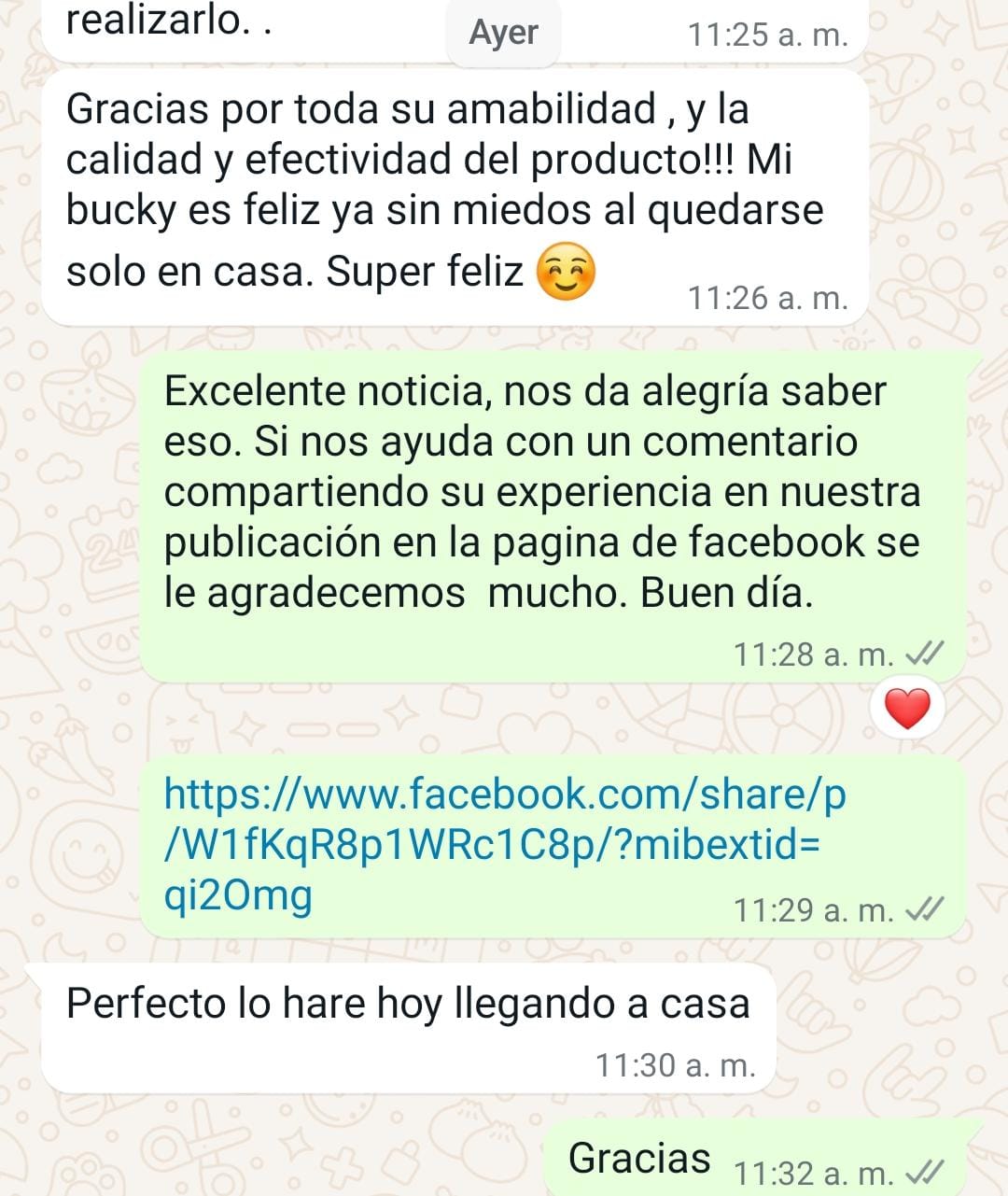 Testimonio de ansiedad: perro feliz y sin miedo al quedarse solo en casa