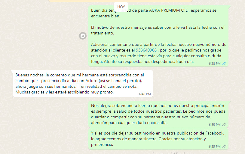 Testimonio de epilepsia: perro de 15 años activo y sin episodios