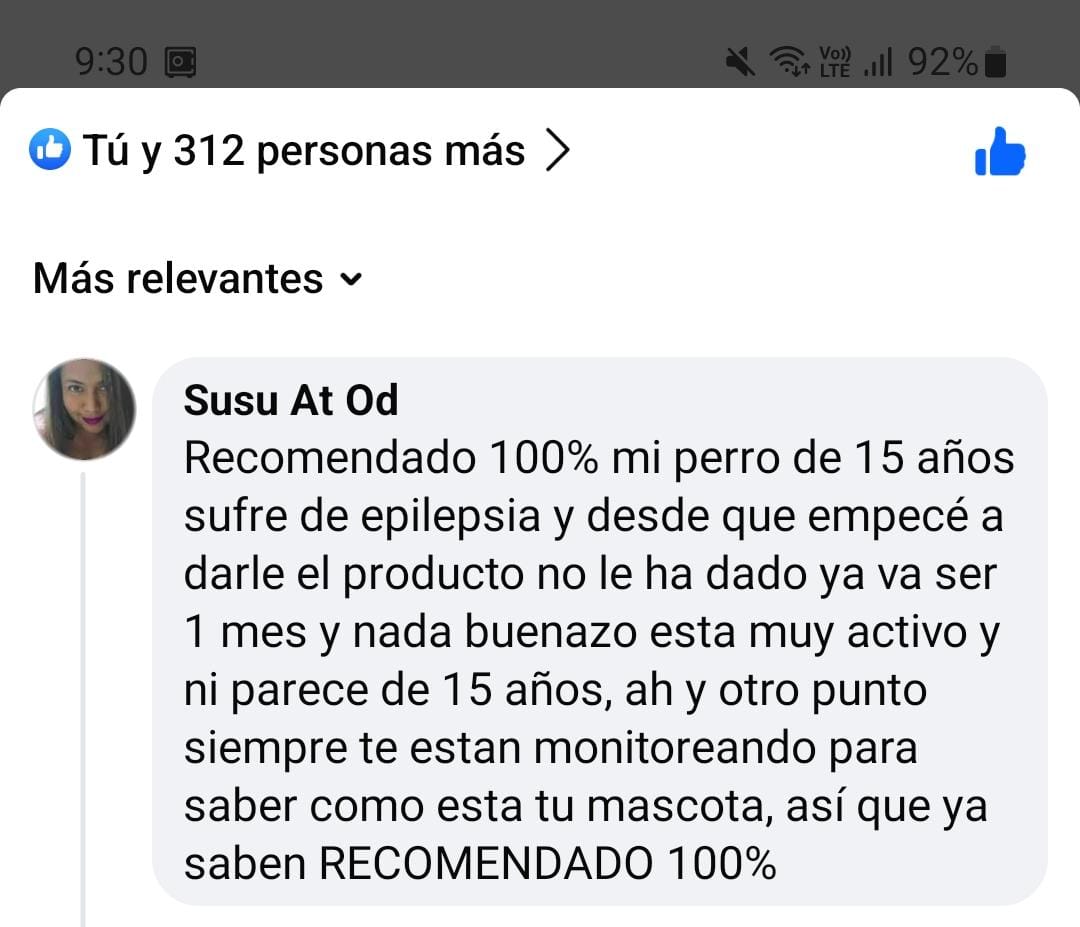Comentario: perrita con epilepsia redujo sus episodios y lleva una vida normal
