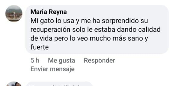 Comentario: gato sorprende por su recuperación y se ve más sano y fuerte